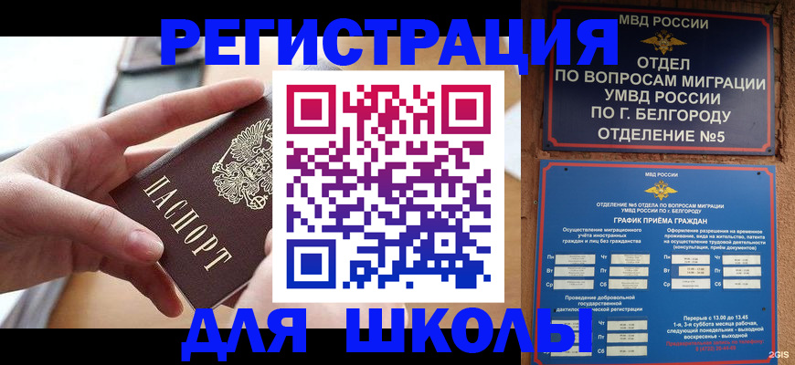 миграционный учет в Полярных Зорях